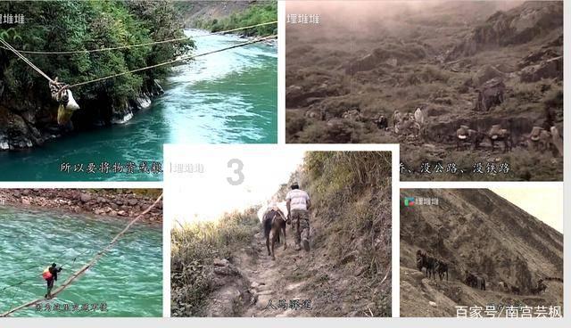 缤纷水果茶无敌版